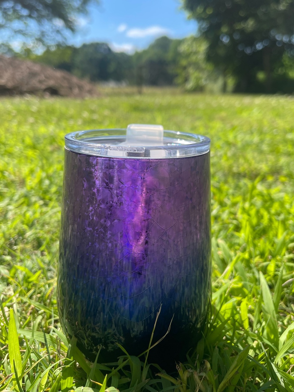 Iridescent Purple-Blue Stainless Steel Tumbler with Lid